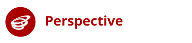 Perspective Logo